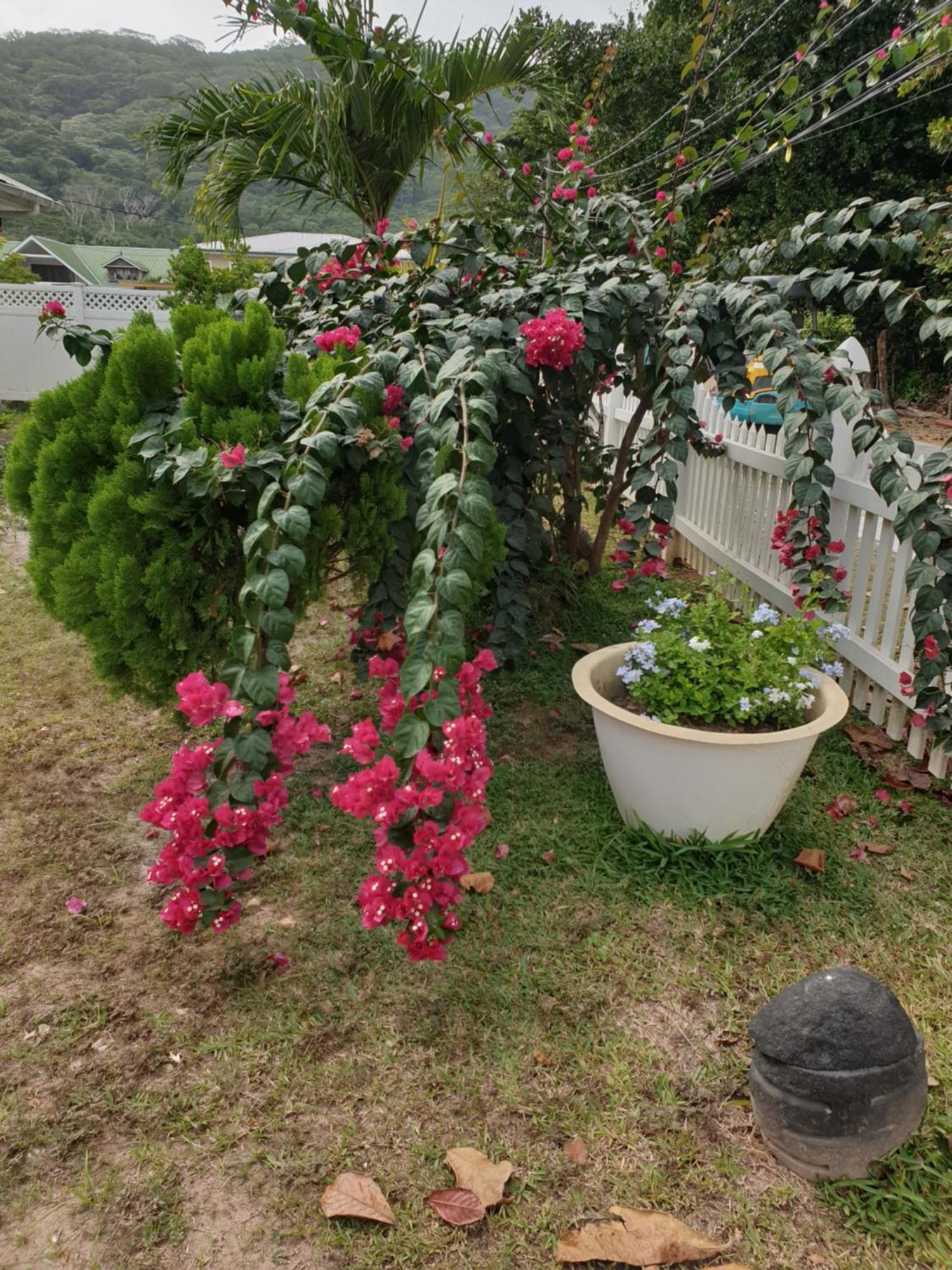 Villa Authentique La Digue Zewnętrze zdjęcie