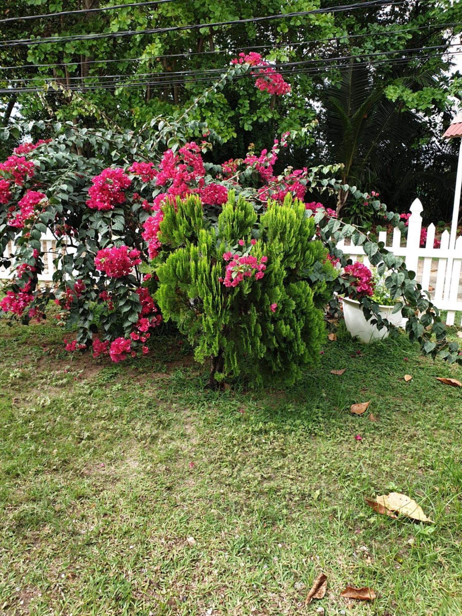 Villa Authentique La Digue Zewnętrze zdjęcie